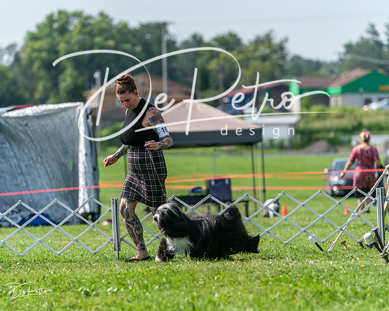 20240816-DSC00875