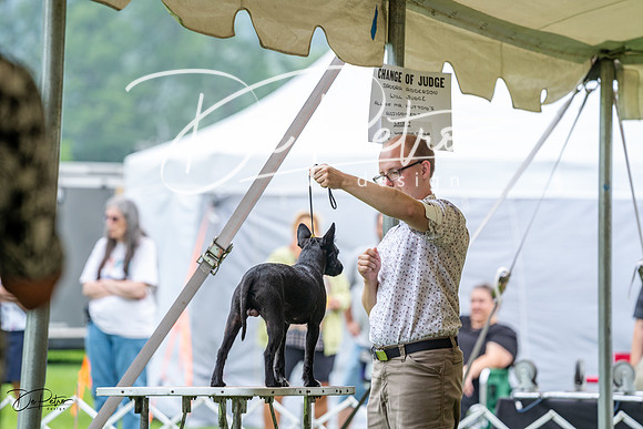 20230701-DSC00024
