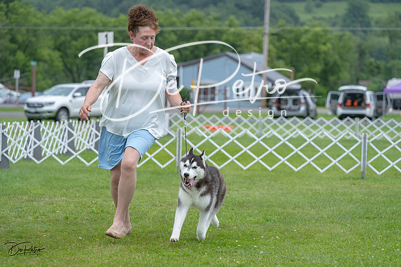 20230702-DSC01505