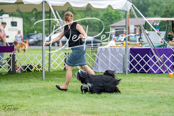 20230701-DSC09902