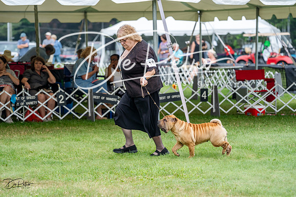 20230701-DSC09836