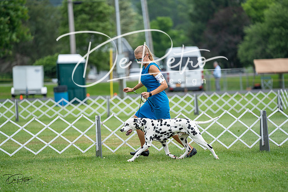 20230701-DSC08316
