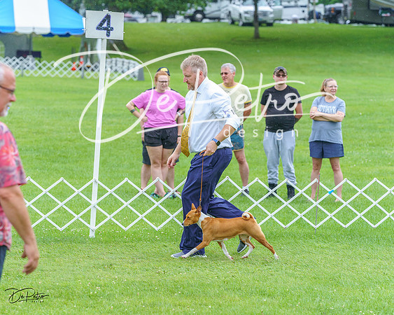 20230702-DSC04583
