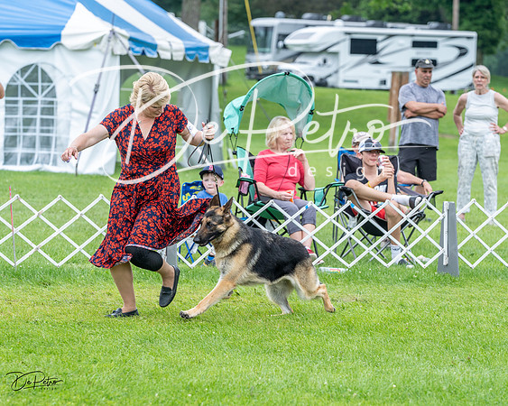 20230702-DSC04174