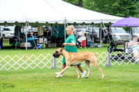 Great Danes 7/2/23