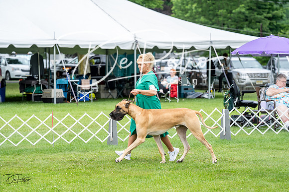 20230702-DSC01827