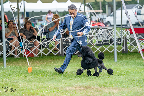 20230701-DSC09890