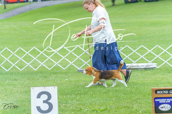 20230702-DSC04498