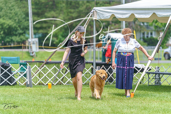20230701-DSC01219