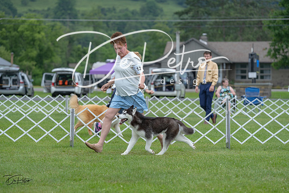 20230702-DSC01765