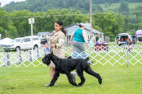 20230702-DSC01220