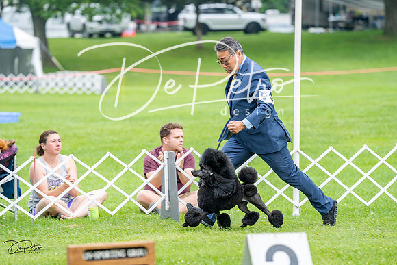 20230701-DSC09981