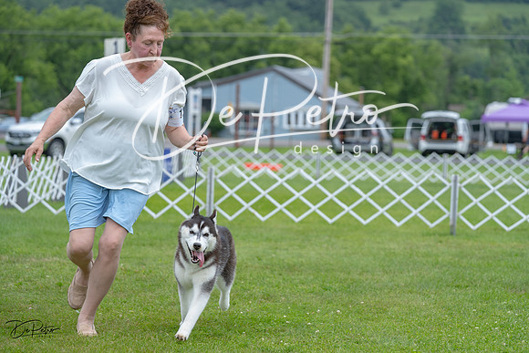 20230702-DSC01507