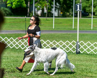 20250629-DSC01118