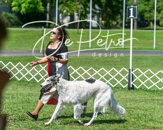 20250629-DSC01118