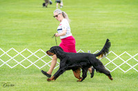 20230702-DSC03533