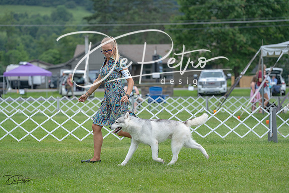 20230702-DSC01518