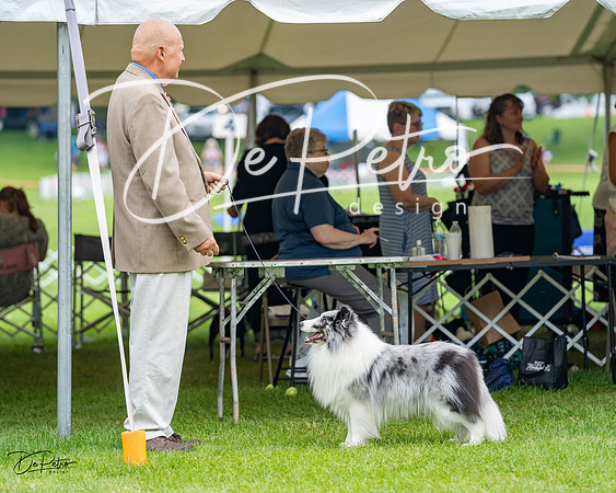 20230701-DSC07519