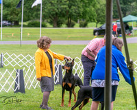 20250628-DSC07274