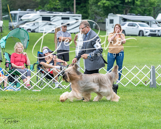 20230702-DSC04177