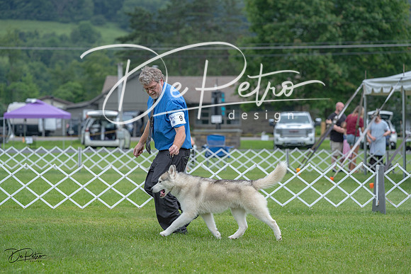 20230702-DSC01591