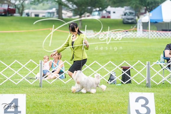 20230701-DSC00002