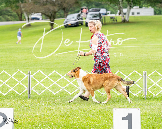 20230702-DSC03829