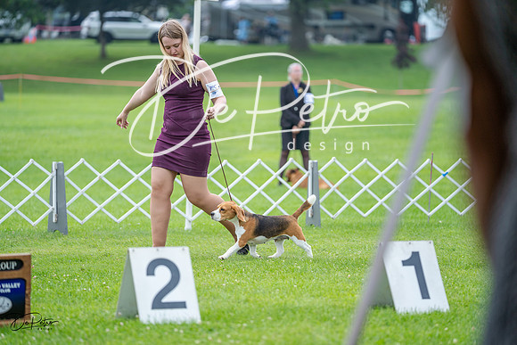 20230701-DSC08806