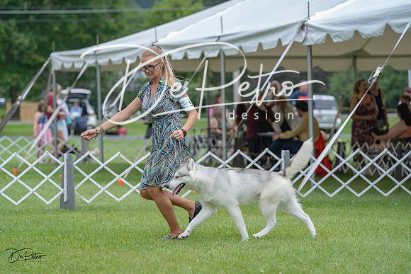 20230702-DSC01509