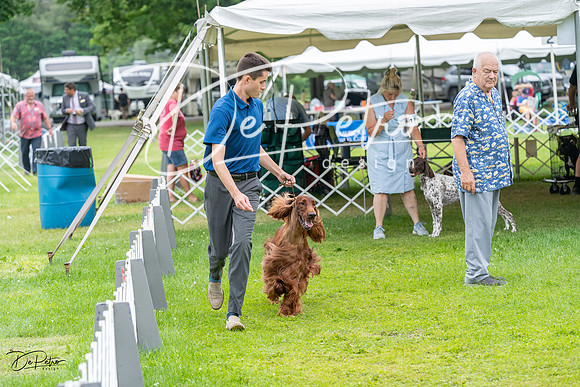 20230702-DSC03508