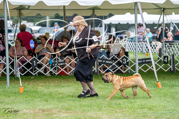 20230701-DSC09839