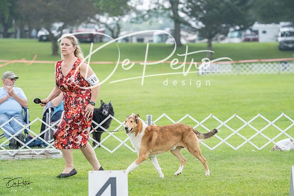 20230701-DSC09397