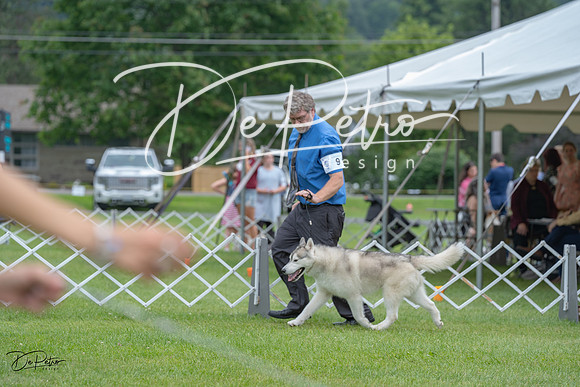 20230702-DSC01449