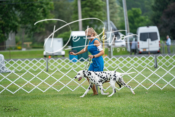 20230701-DSC08318