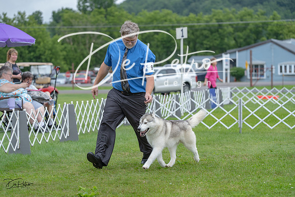 20230702-DSC01624