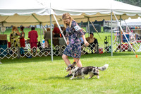 20230701-DSC01501
