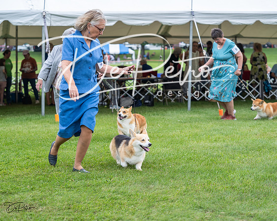 20230701-DSC01154