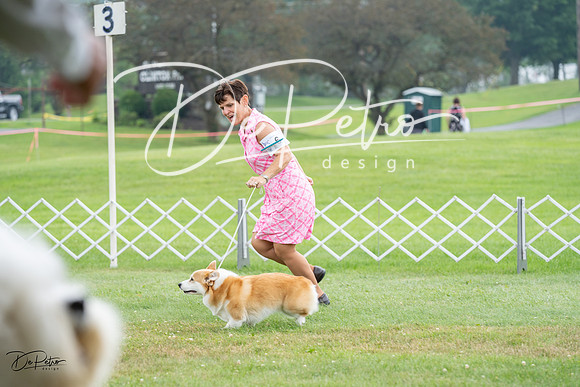 20230701-DSC09446