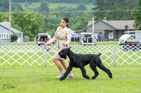 20230702-DSC01200