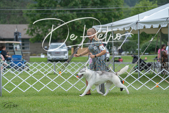 20230702-DSC01526
