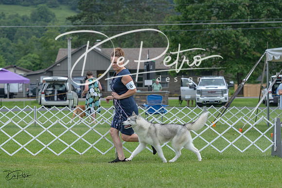 20230702-DSC01404