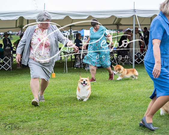 20230701-DSC01160