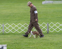 20230702-DSC04710