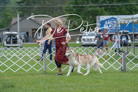 20230702-DSC01750