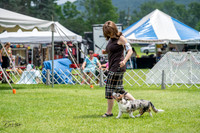 20230701-DSC01454