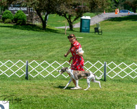 20250629-DSC09476