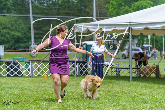 20230701-DSC01188