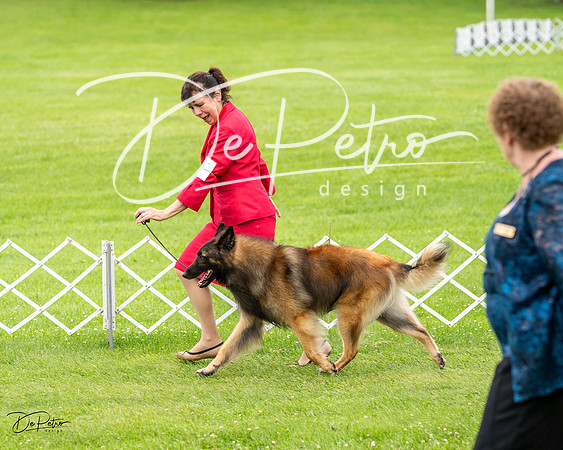 20230702-DSC03905