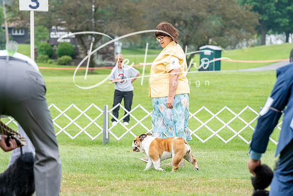 20230701-DSC00045