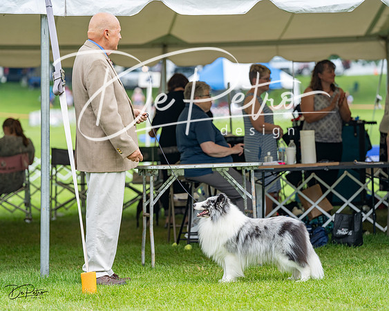 20230701-DSC07520